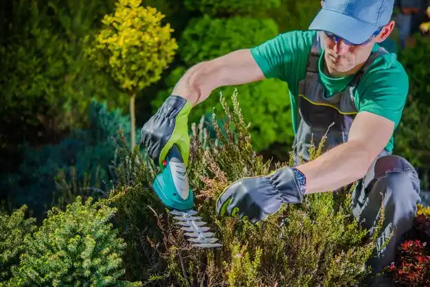 landscaping services Natchitoches
